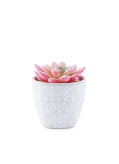 اشتري Orrin Artificial Potted Plant in Terracotta Pot 7x7x10cm - Multicolor في الامارات