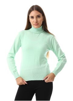 Buy Turtle Neck Regular Fit Plain Top in Egypt