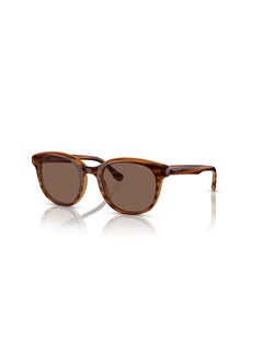 Buy Full Rim Wayfarer Sunglasses 0VO5494SI 51 257173 in Egypt