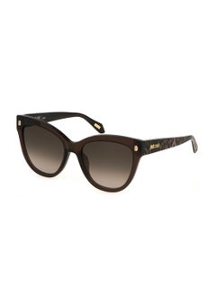 Buy Women's Butterfly Shape  Acetate Sunglasses SJC043 550AAK - Lens Size: 55 Mm - Shiny Transp.Brown in Saudi Arabia