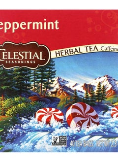 Buy Herbal Tea Peppermint Caffeine Free 40 Tea Bags 2.3 oz (66 g) in UAE