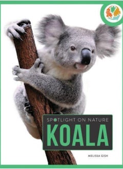 Buy Spotlight on Nature: Koala in Saudi Arabia