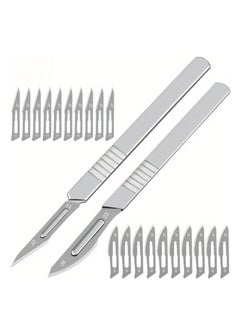 Buy RYN 10pcs/10pcs Scalpel Handles And Sharp Carbon Steel Blades Scalpels, Carving Knives, Lab Knives And Dermaplaning Tools For Callus Removal, Carving, Cutting, Crafts, Etc. in UAE