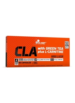 Buy Cla with green tea l carnitine 60 caps olimp in UAE