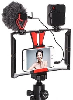 اشتري FocusFoto Smartphone Video Rig Camera Cage Mount Holder Stabilizer Handle Grip with BOYA by-MM1 Shotgun Microphone Mic And 49 LED Light Kit for Mobile Phone iPhone Filmmaking Professional Videomaker في مصر