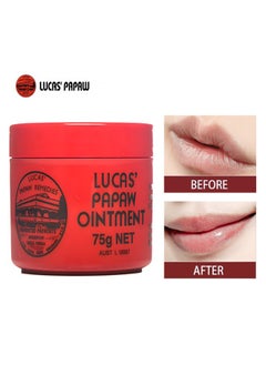 Buy Papaw Ointment Ointment 75grams, Rich In Papaw and Avocado Extracts, Improve Dry Skin, Prevent Dryness and Peeling, Multi-Purpose Balm For Hydrating Lip/Skin/Cuticles/Nails/Beauty Finishing in UAE