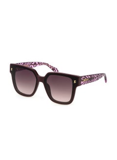 Buy Women's Square Shape  Acetate Sunglasses SJC089V6509FD - Lens Size: 65 Mm - Shiny Full Plum in UAE