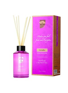 Buy Natural Escapes Lavender Reed Diffuser 190 ml Therapeutic Grade Scented Oil For Living Room Bed Room Kitchen Bathroom Essential Oil For Fragrance Diffusers Violet in UAE