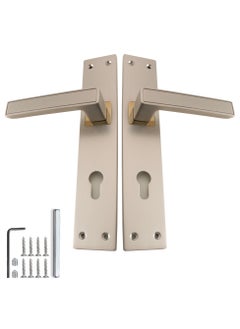 Buy Mortise Zinc door Handle (CD-011-MSN-RGP) in Saudi Arabia