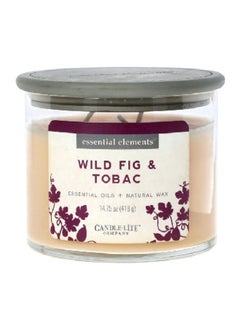 Buy Wild Fig and Tobac Scented Jar Candle Beige 418 g in Saudi Arabia