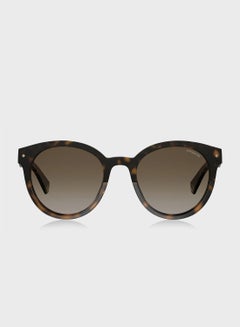 Buy Pld 6043/S Sunglasses in UAE