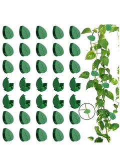 Buy 100PCS Garden Plant Climbing Wall Fixture Clips, Invisible Self-Adhesive Fixer Sticky Hook Plants Climbing Wall Support Clip for Supporting Stems Grow Upright, Vines Traction in UAE