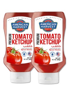 Buy Premium Tomato Ketchup 560grams Pack of 2 in UAE