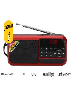Buy Bluetooth radio, a memory card slot, a USB stick, and a flashlight in Egypt