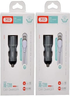 اشتري Xo tz09 car charger suit and lightning cable with 2.1a max 12w output and 2 usb output 1000mm set of 2 pieces - grey في مصر