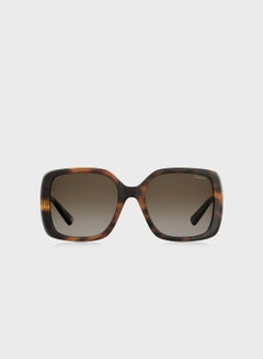 Buy Pld 4072/S Sunglasses in UAE
