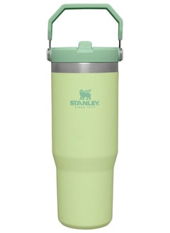 Buy Stanley Large Capacity Insulated Water Bottle in Saudi Arabia