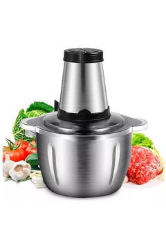 Buy Meat Mincer 2L Household Electric Meat Grinder 2 Gears Stainless Steel Kitchen Blender in Saudi Arabia