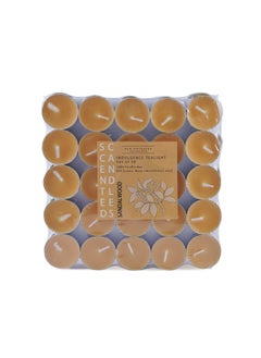 Buy Indulgence Sandalwood 50 -Piece Tealight Candle - 2.5 Hrs in UAE