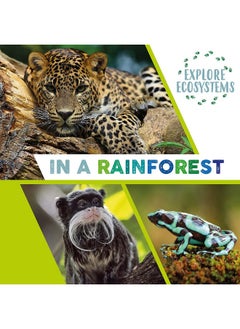 Buy Explore Ecosystems: In a Rainforest in UAE