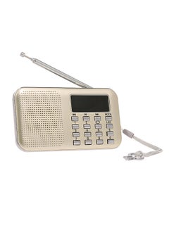 Buy Y-896 Mini FM Radio Digital Portable 3W Stereo Speaker MP3 Audio Player High Fidelity Sound Quality w/ 2 Inch Display Screen Support USB Drive TF Card AUX-IN Earphone-out in Saudi Arabia