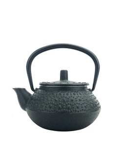 Buy Durable And Long-lasting Cast Iron Teapot 0.3 Liter Black in UAE