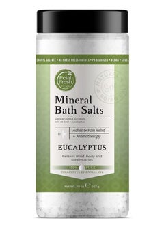 Buy Eucalyptus Mineral Bath Salts White 20ounce in UAE