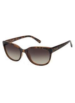 اشتري Women Rectangular Sunglasses PLD 4030/S  DK HAVANA 55 في السعودية