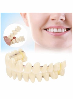 Buy Resin Denture False Teeth Teaching Dental Model Dental Material Dental Model Resin Denture For Patients With Oral Cavity Loss Dental Supply Accessory Denture Model 1 Set Upper Lower Teeth in UAE