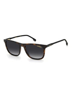 Buy Men's Square Sunglasses - CARRERA 261/S_0086 9O - Lens size: 53 mm in UAE