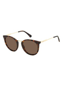 Buy Full Rimmed Cat Eye Sunglasses PLD 4146/S/X in Egypt