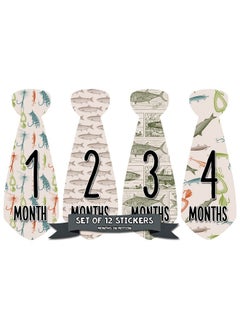 اشتري Monthly Baby Tie Stickers Boy Month Milestone Necktie Sticker Onesie Month Sticker Infant Photo Prop For First Year Shower Gift Newborn Keepsakes Fish Fishing في السعودية