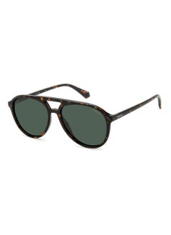 Buy Unisex Polarized Pilot Shape  Sunglasses PLD 4162/S GREEN 49 - Lens Size: 49.3 Mm - Hvn in UAE