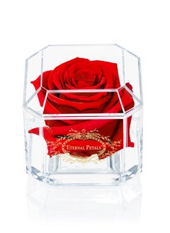 Buy Eternal Petals,  A 100% Real Rose That Lasts Years - Gold Solo (Red) in UAE