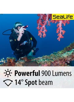 اشتري Sea Dragon Mini 900S Compact LED Dive Light (SL653) في الامارات