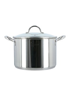 Buy Ergonomic Handle Stainless Steel Stock Pot with Lid Chrome and Clear 30 cm CW-ST003 in Saudi Arabia