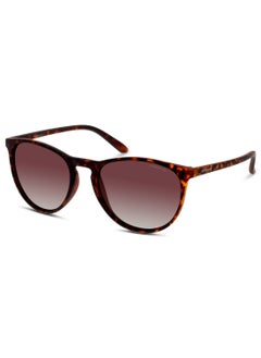 Buy POLAROID PANTHOS Sunglasses in Saudi Arabia