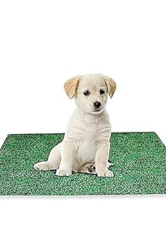 Buy Artificial grass mat for cats and dogs made of green grass in Egypt