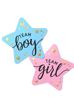 Buy 80 Sheets Gender Display Stickers with Gold Foil for Team Boy and Team Girl Labels Pink and Blue Gender Labels for Party Invitations and Voting Games, Baby Shower Labels (Star) in Saudi Arabia