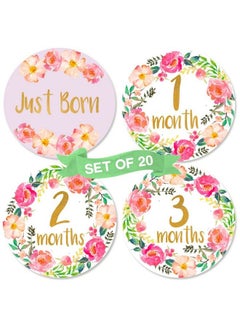 اشتري Baby Girl Monthly Milestone Stickers ; Set Of 20 Floral Gold Stickers ; Birth To 12 Months + 8 Bonus Achievement Stickers ; For Baby Girl في السعودية