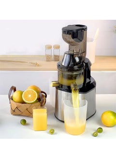 Buy Slow Masticating Juicer, Slow juicer, Fruit/Vegetable Juicer, Cold Press Juicer with High Output in Saudi Arabia