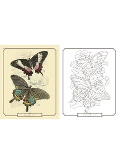 اشتري Arcturus Beautiful Butterflies Colouring Book في الامارات