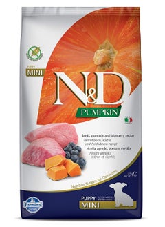 اشتري Lamb, Pumpkin and Blueberry Recipe Mini Puppy Food, 2.5 Kg في الامارات