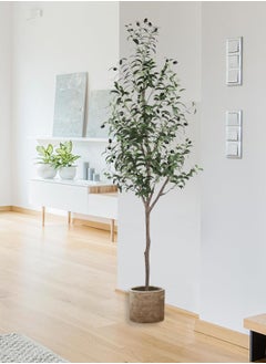 Buy DIYANOO Artificial Olive Tree 120cm 150cm 180cm Tall Faux Silk Plant for Home Office Decor Indoor Fake Potted Tree with Natural Wood Trunk and Lifelike Fruits (180cm) in Saudi Arabia