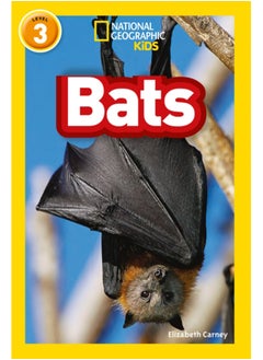 Buy Bats : Level 3 in Saudi Arabia