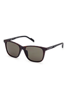 اشتري Men's UV Protection Round Shape Plastic Sunglasses SP005152N55 - Lens Size: 55 Mm - Dark Havana في الامارات