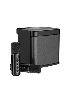 Buy YS 203 Portable Wireless Bluetooth Karaoke Speaker With Dual Microphone in UAE