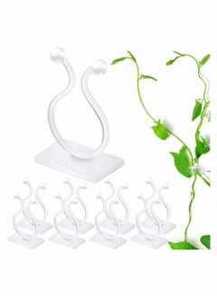 Buy Invisible Plant Wall Climbing Fixing Clips, Self-Adhesive Wall Rattan Fixing Device Sticky Hook Plant Support Binding Clip Vines Holder Garden Ties Plant Clips for Home Garden (50pcs, White M) in Saudi Arabia