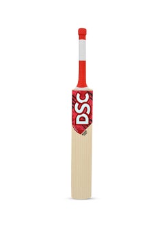 Buy Roar Terra Kashmir Willow Cricket Bat, Size: 6, Ball type : Leather Ball in Saudi Arabia