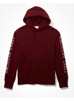 Buy AE Super Soft Fleece Icon Graphic Hoodie in Saudi Arabia